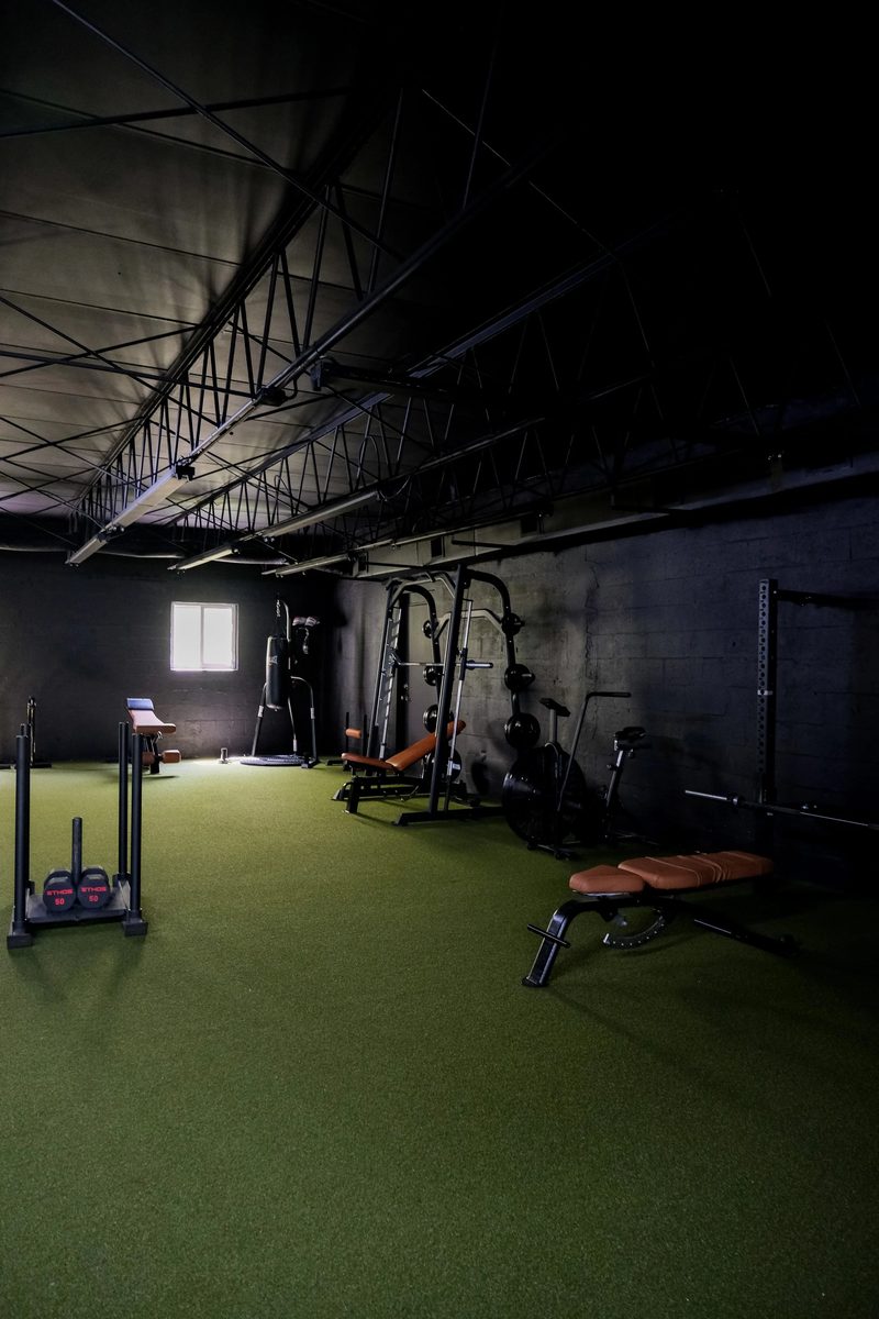 The turf lane running the length of the studio with a sled and bench